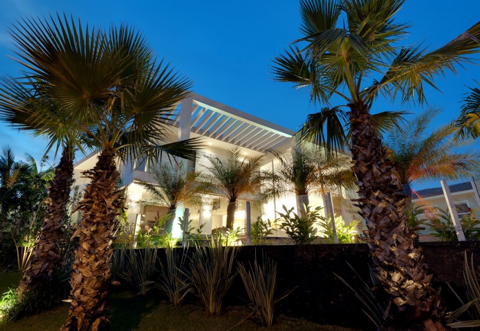 Palm trees in front of modern home