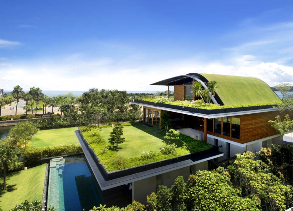 Modern home design with green roof