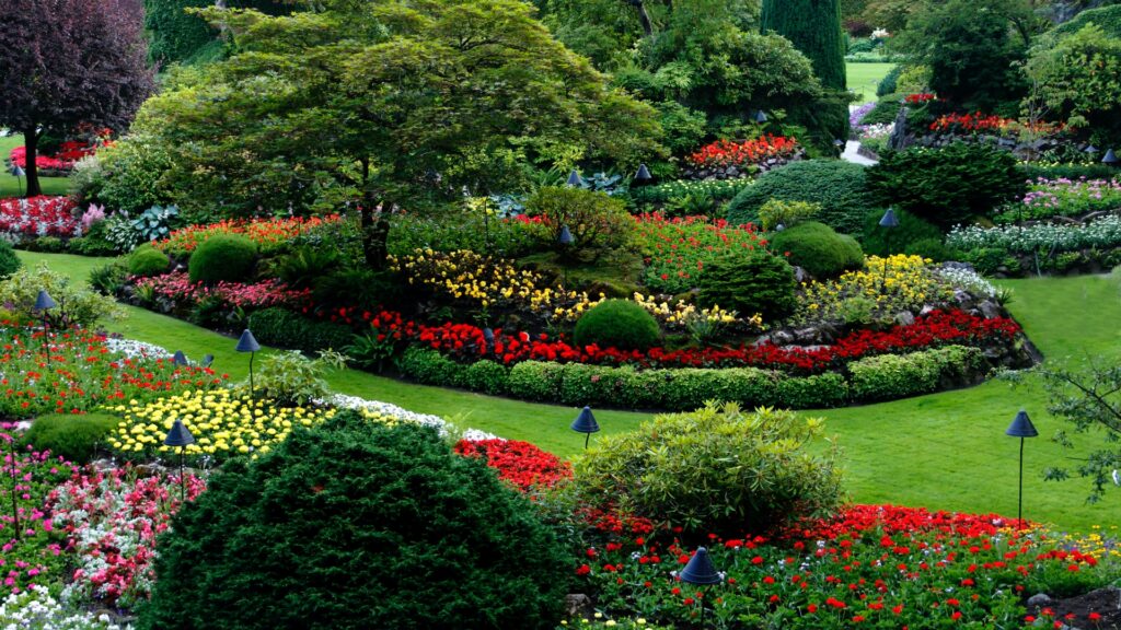 Late Summer and Early Fall Landscaping: Tips for a Beautiful Yard ...